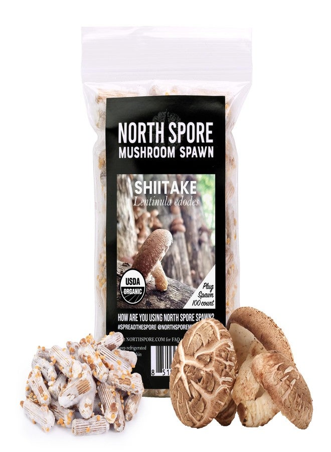 North Spore Organic Shiitake (100 ct) Mushroom Plugs for Logs | Premium Quality Mushroom Plug Spawn | Handmade in Maine, USA | Grow Gourmet Mushrooms Outdoors on Logs | Lentinula edodes - Image 1